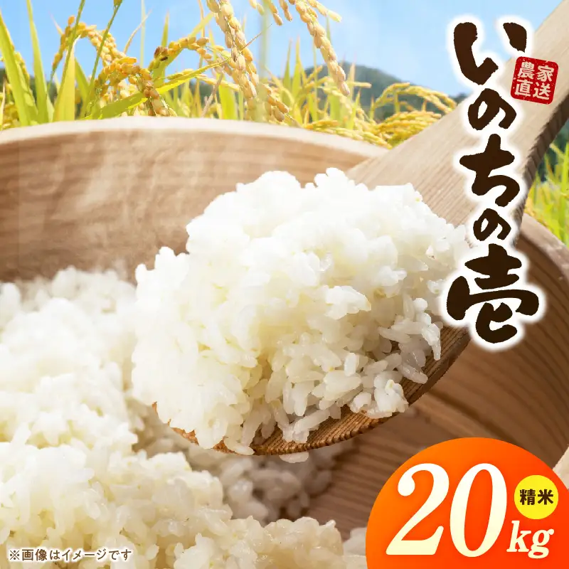 R7年産　「いのちの壱」（20kg）＜農家直送＞ 希少米 20kg 米 精米 白米 ご飯 国産 産地直送 甘い 粘り強い もちもち お取り寄せ こだわり米 愛知県 小牧市 送料無料 [208K12]