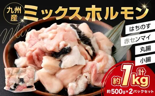 ミックスホルモン 約1.0kg（約500g×2パック）ホルモン 九州産 ミックス 丸腸 赤センマイ はちのす 小腸 冷凍 福岡県 北九州市