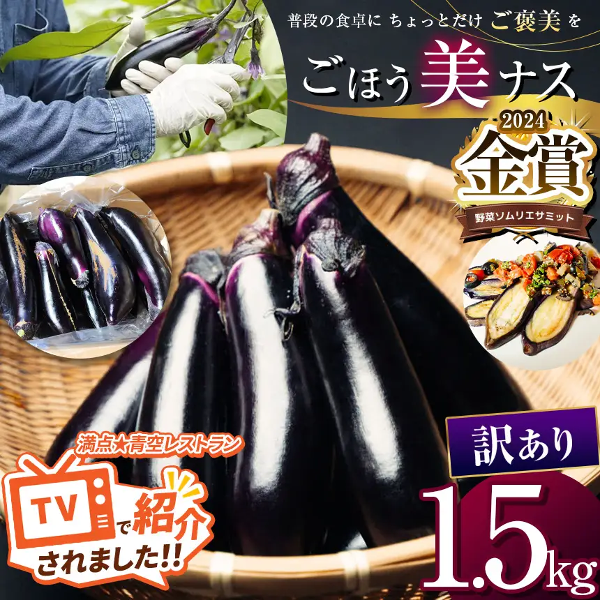 農家さん応援！訳ありごほう美ナス 約1.5kg