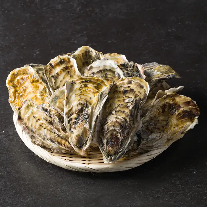 松島牡蠣屋 冷凍牡蠣（生食用）13kg 宮城県産 牡蛎 牡蠣 カキ オイスター カキフライ 牡蠣鍋 海鮮 国産 魚貝類 急速冷凍 【菊地水産合同会社】sh160