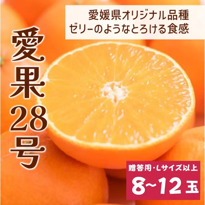 【2026年先行予約】みかん 愛果28号 8〜12玉 Lサイズ以上 贈答用 紅まどんな同一品種 【2026年12月以降順次発送予定】 愛媛 数量限定 愛媛県産 人気 柑橘 フルーツ 国産 おすすめ 伊予市｜C183