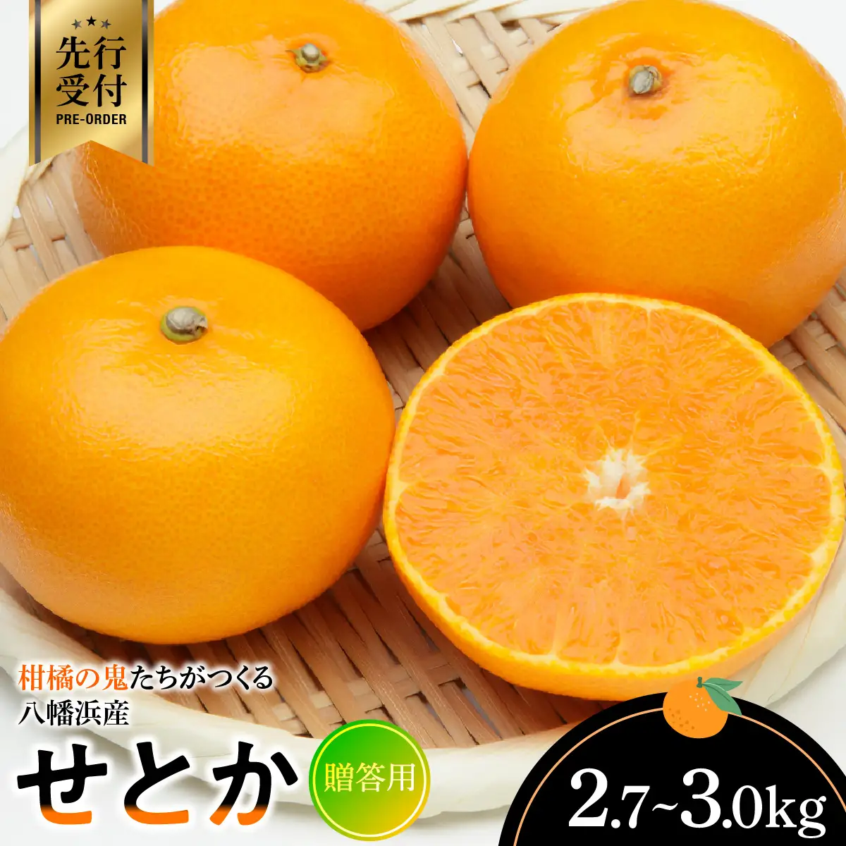 【先行受付】柑橘の鬼たちがつくる八幡浜産・せとか(2.7kg～3.0kg)[贈答用]【D56-21】【1283618】 YWTAS015