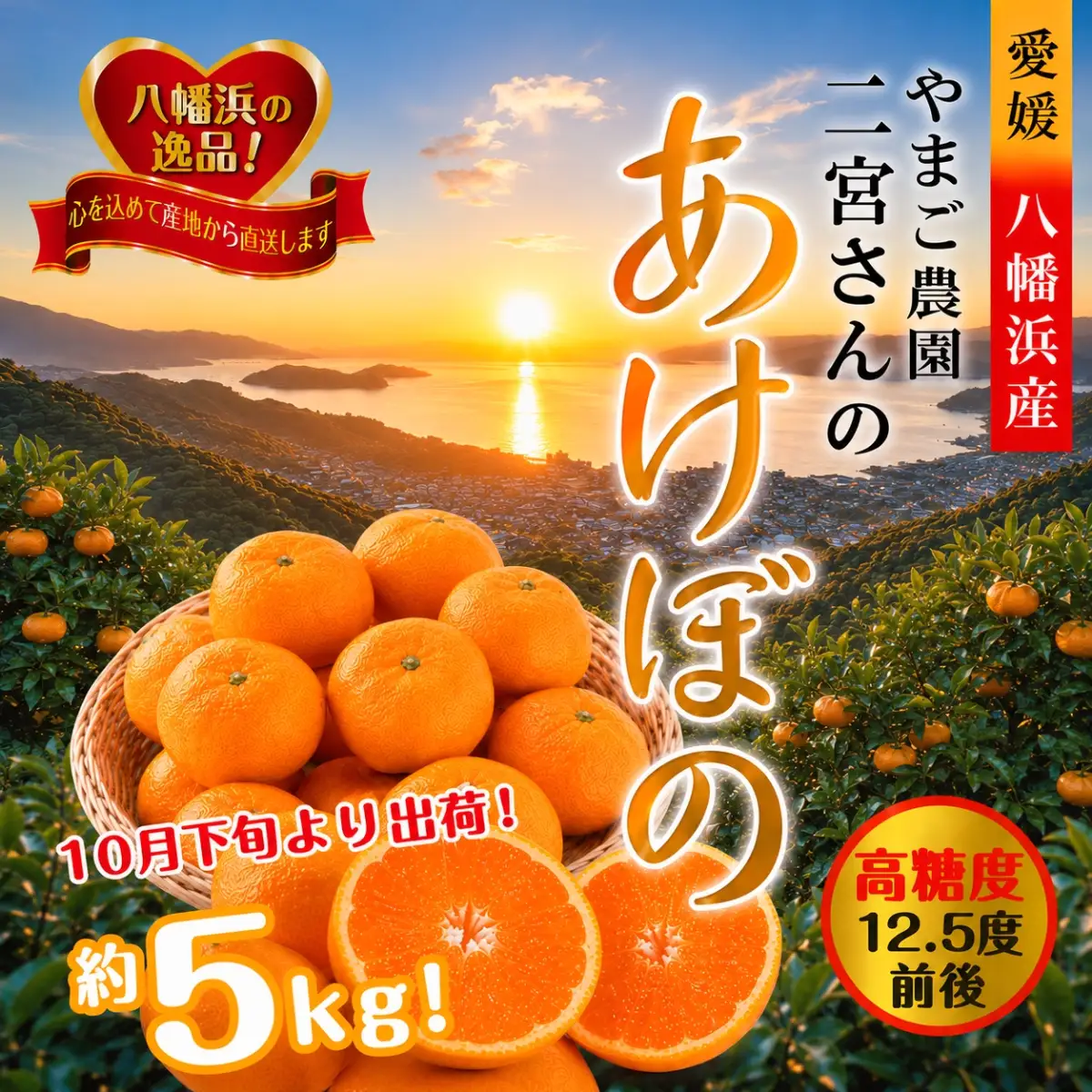 【先行受付】!やまご農園 高糖度みかん!「あけぼの」【C39-11】【配送不可地域：離島】【1491797】 YWTF004