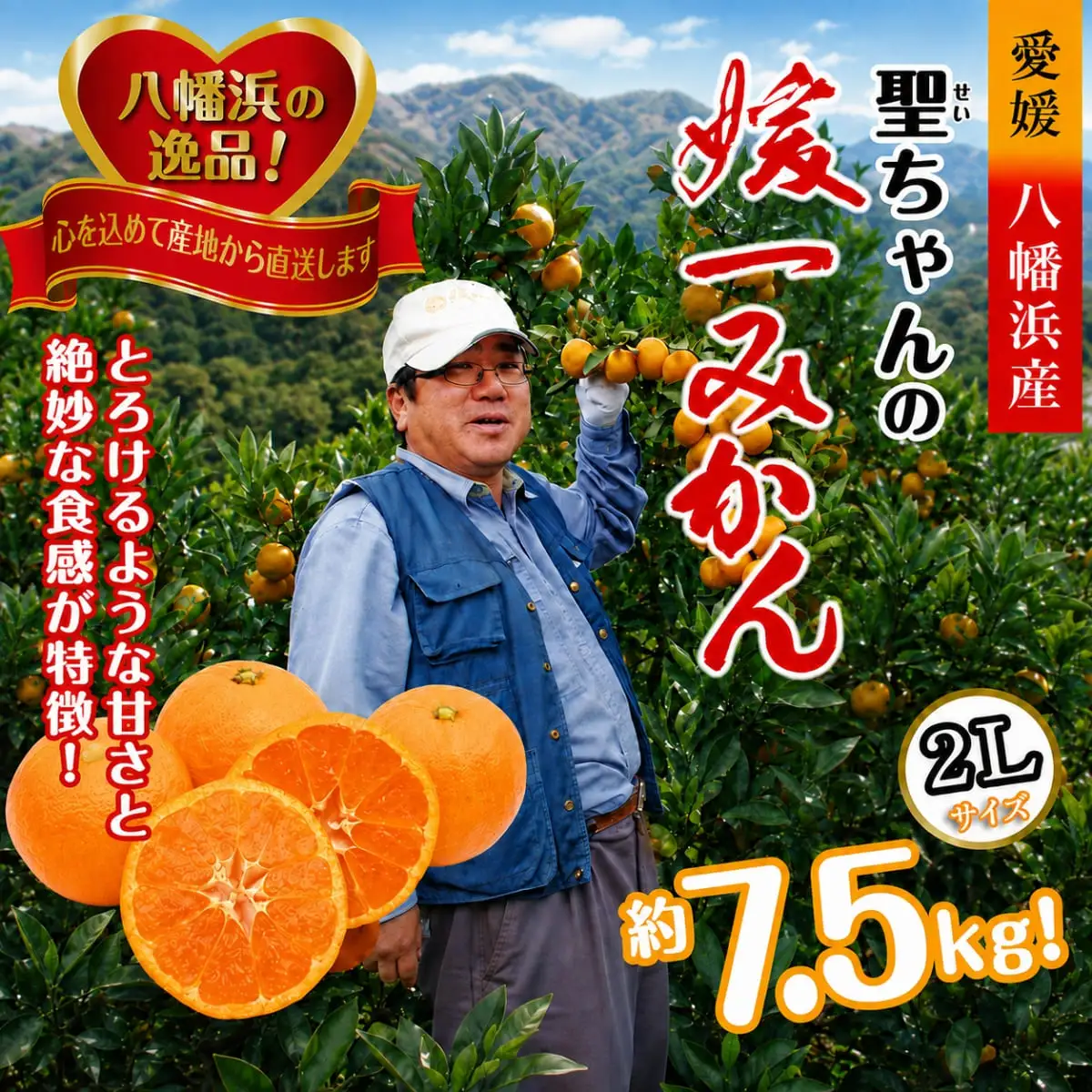 【先行受付】「日の丸みかん」と同産地!!聖ちゃんの「媛一みかん」2Lサイズ  約7.5kg【C39-14】【配送不可地域：離島】【1491362】 YWTF006