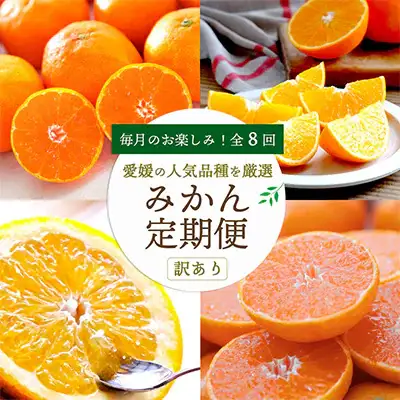 【発送月固定定期便】愛媛の人気品種を厳選! みかん定期便(訳あり)全8回【H25-117】【4001039】 YWTAP060