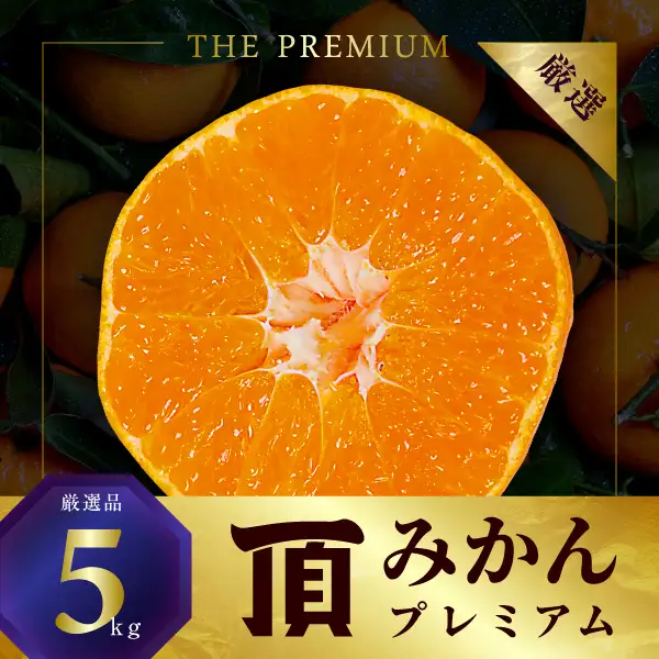 【先行受付】三代目の頂みかんTHEプレミアム【小玉サイズ】5kg【C31-19】【1088576】 YWTAC010