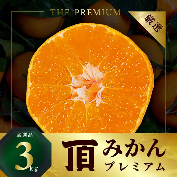 【先行受付】三代目の頂みかんTHEプレミアム【小玉サイズ】3kg【C31-32】【1424406】 YWTAC021