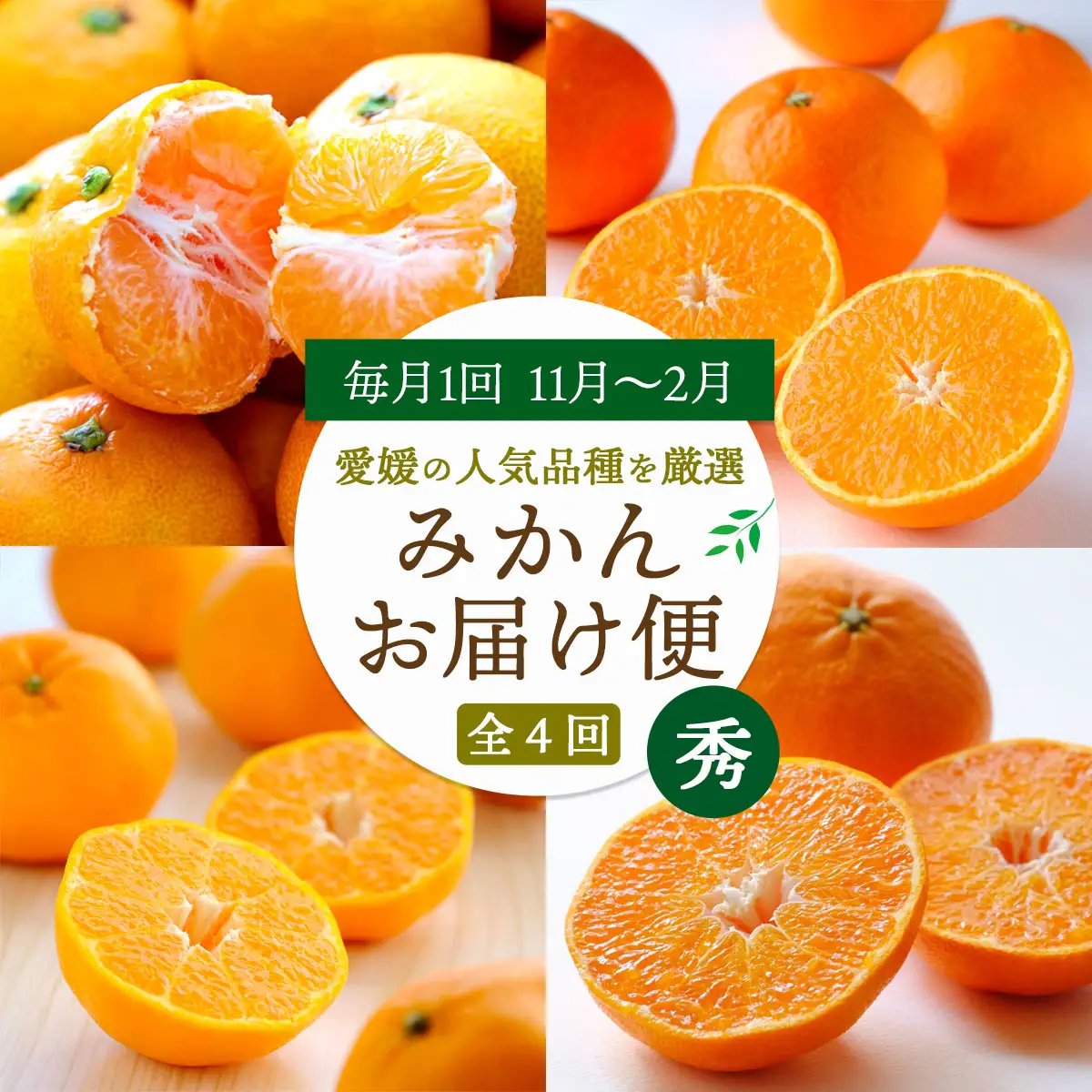 【発送月固定定期便】愛媛の人気品種!かんきつ定期便 11月～2月全4回【H25-154】【4012888】 YWTAP096