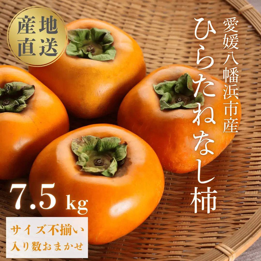 【先行受付】国安さんちのひらたねなし柿 7.5kg【F20-27】【1323619】 YWTI022