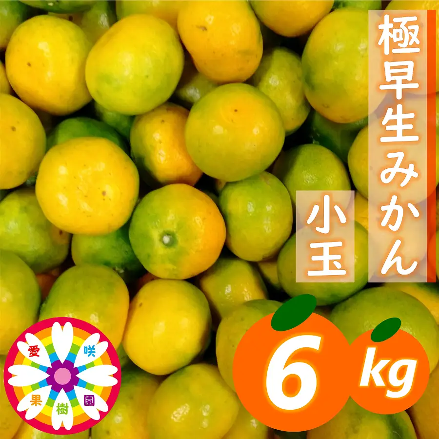 【先行受付】「 極早生 みかん 」 小玉 約6kg《 愛咲果樹園 》【C71-3】【配送不可地域：離島】【1326991】 YWTS003