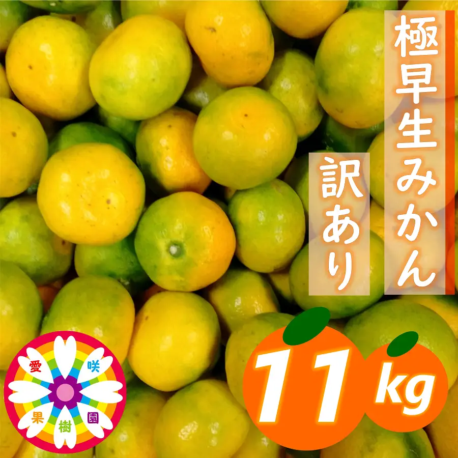【先行受付】「 極早生 みかん 」 訳あり 約11kg《 愛咲果樹園 》【C71-4】【配送不可地域：離島】【1326992】 YWTS004