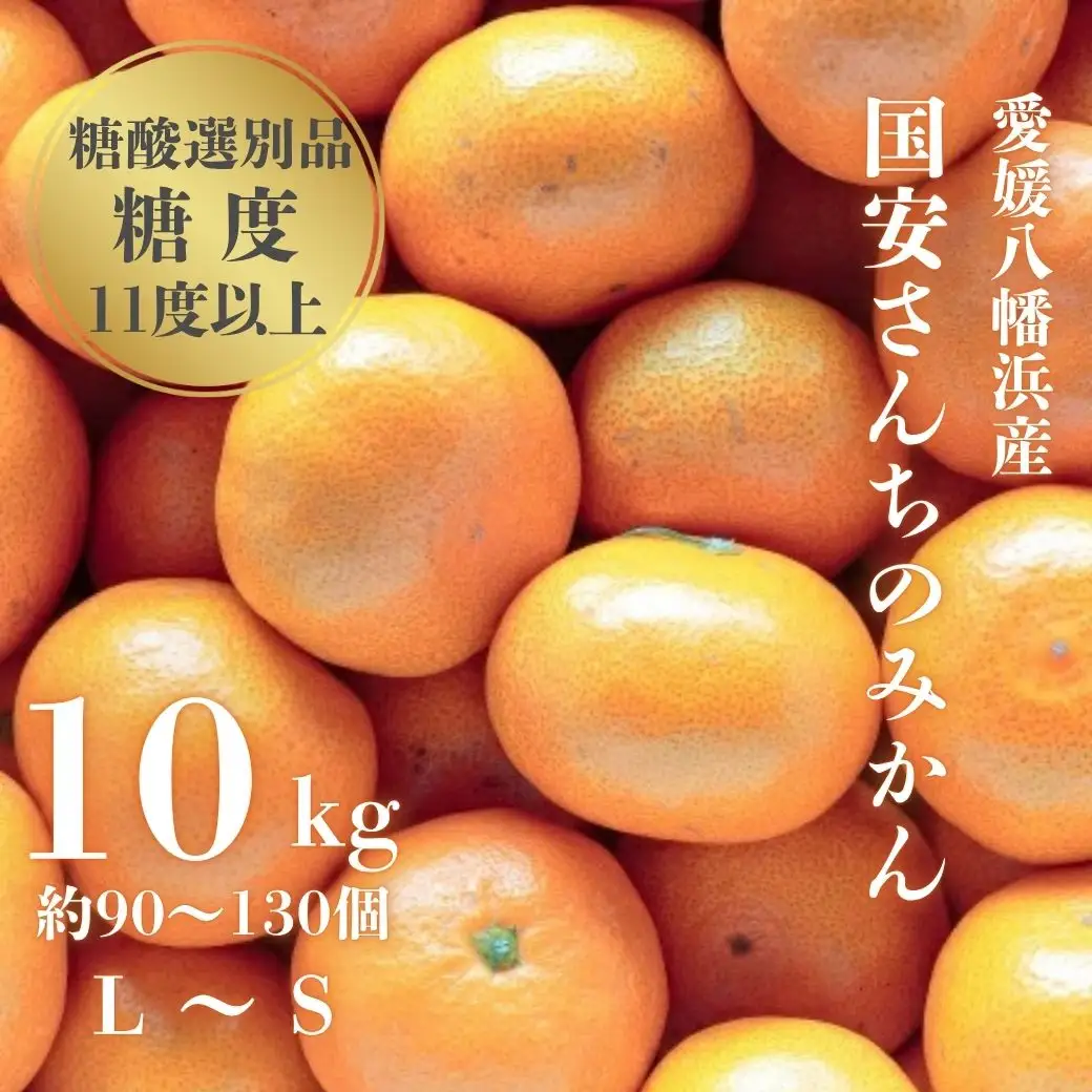 【先行受付】【糖度11度以上 酸1.0以下 糖酸選別品】愛媛みかん 10kg【D20-3】【1094602】 YWTI003
