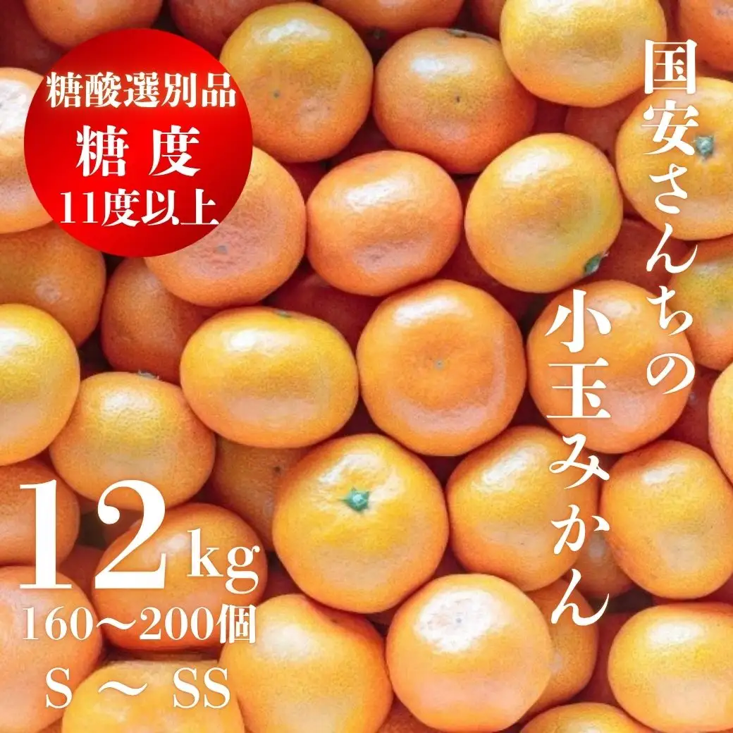【先行受付】糖度11.0以上　国安さんちの厳選小玉みかん　12kg【H20-30】【1323622】 YWTI025