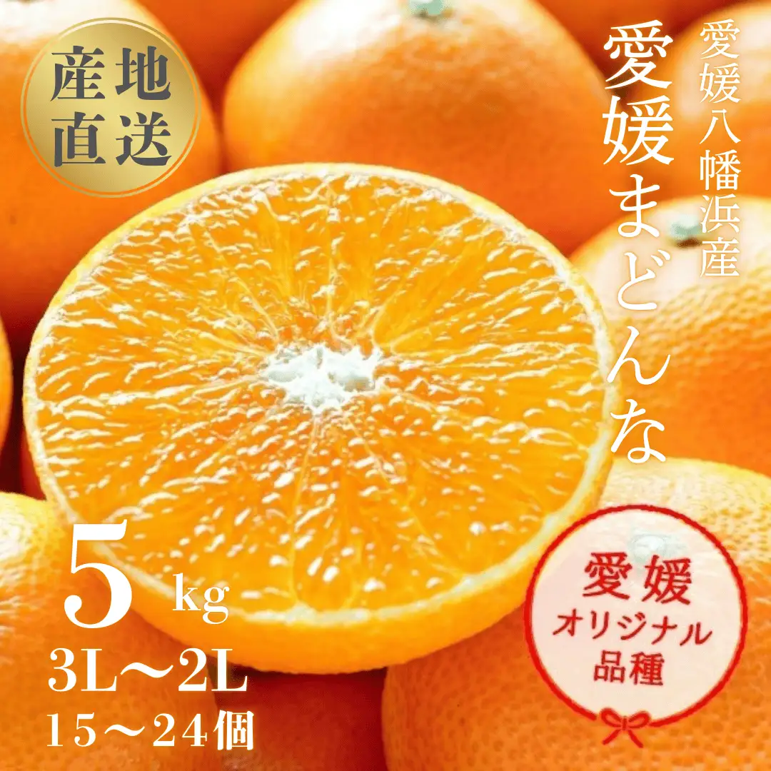 【先行受付】産地直送 国安さんちの愛媛まどんな 贈答用 約5kg 【H20-31】【1340000】 YWTI026
