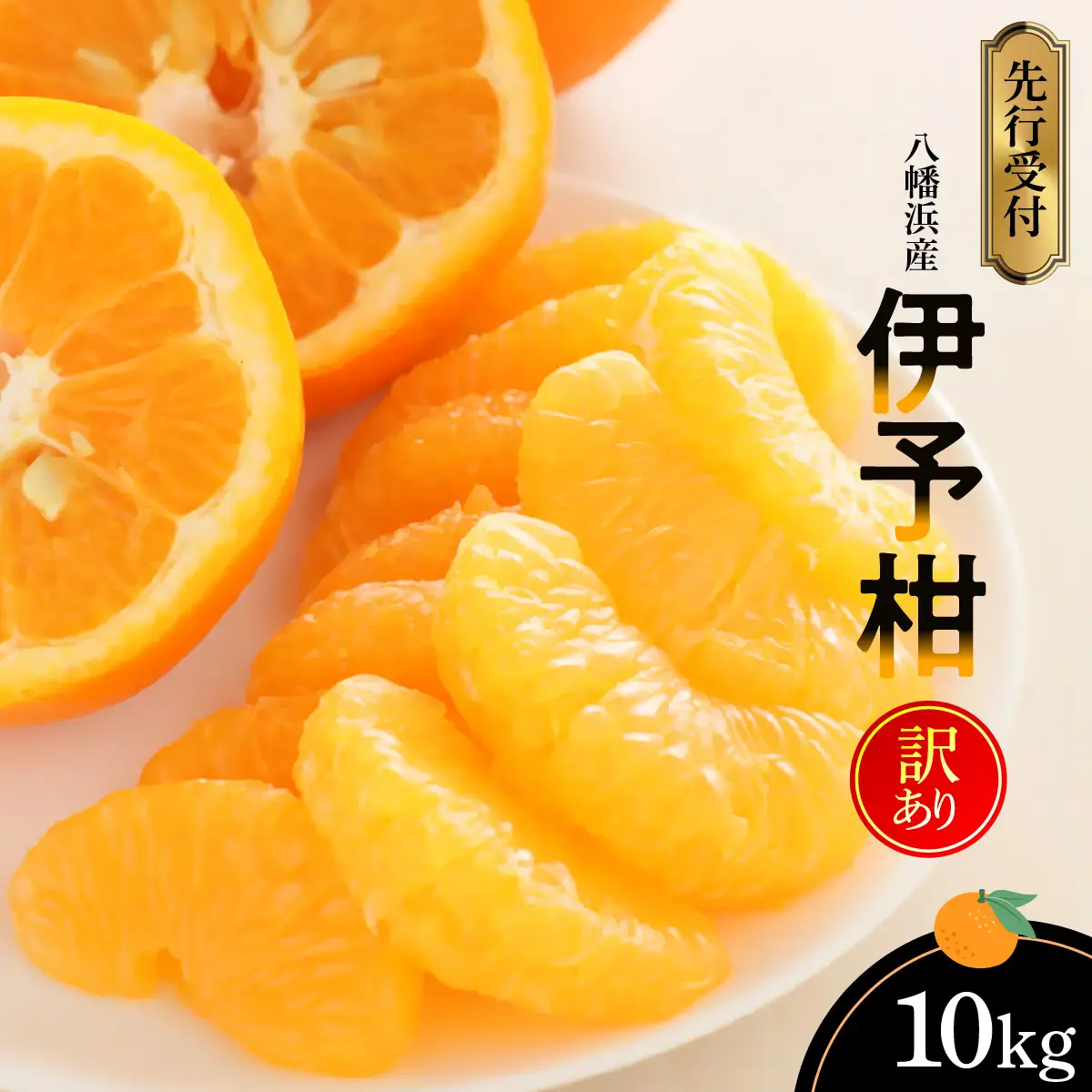 【先行受付】八幡浜産・伊予柑10kg【訳あり】【C56-45】【配送不可地域：離島】【1479304】 YWTAS035
