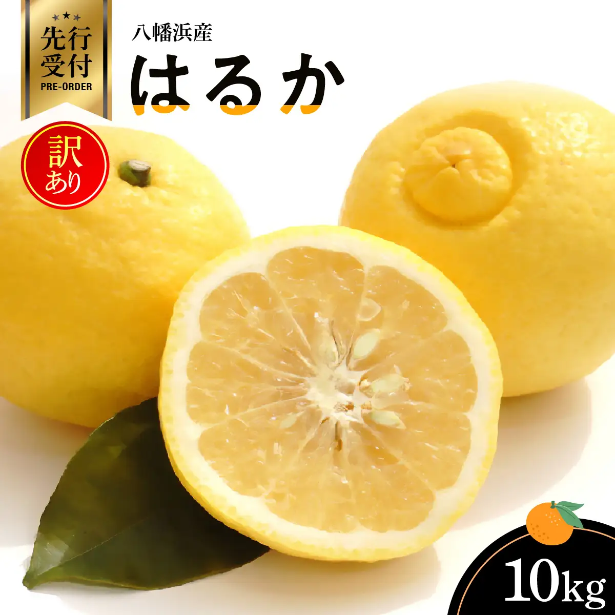 【先行受付】八幡浜産・はるか10kg【訳あり】【C56-42】【配送不可地域：離島】【1479306】 YWTAS032