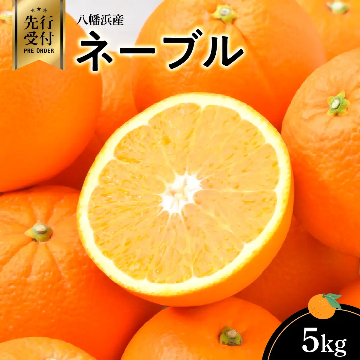 【先行受付】八幡浜産・ネーブル5kg【C56-43】【配送不可地域：離島】【1479310】 YWTAS033