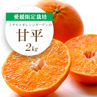 【先行受付】愛媛限定栽培柑橘 シャキッと新食感!甘平 2kg【E25-36】【1044411】 YWTAP027