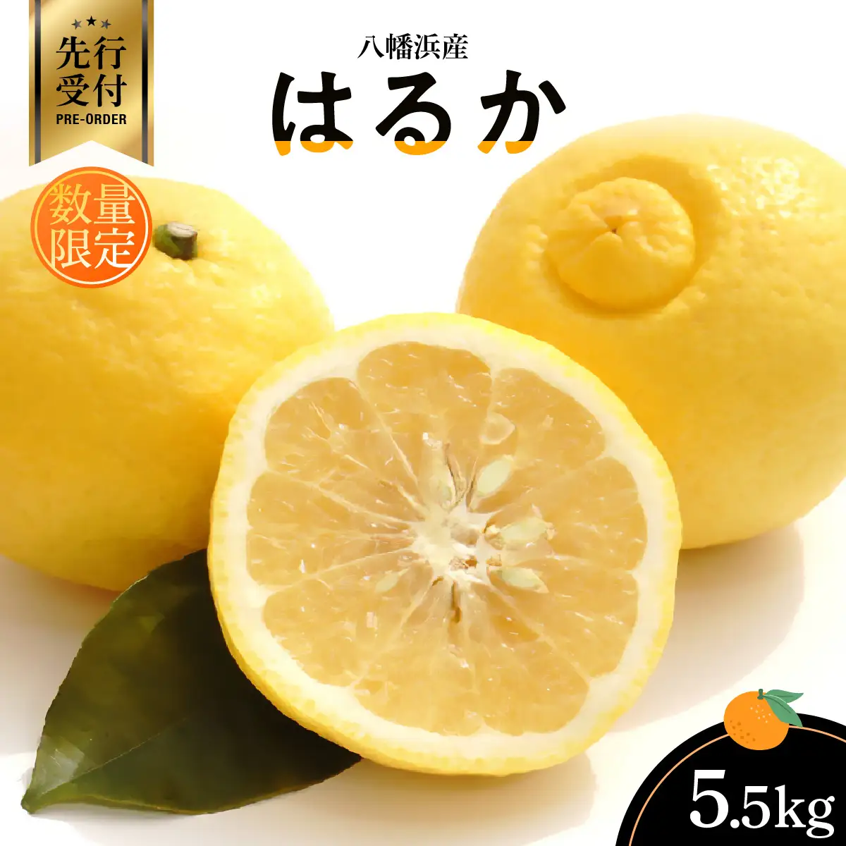 【先行受付】八幡浜産・はるか5.5kg[数量限定!]【C56-10】【1138744】 YWTAS005