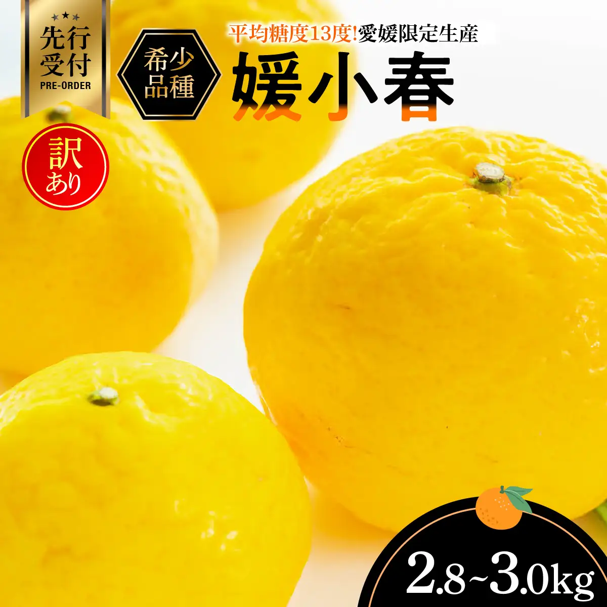 【先行受付】平均糖度13度!愛媛限定生産の希少品種「媛小春」(2.8kg～3.0kg)【訳あり】【C56-47】【配送不可地域：離島】【1486141】 YWTAS037
