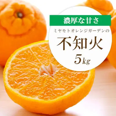 【先行受付】デコポンと同品種 濃厚柑橘 不知火(しらぬい) 5kg【D25-125】【1268367】 YWTAP068