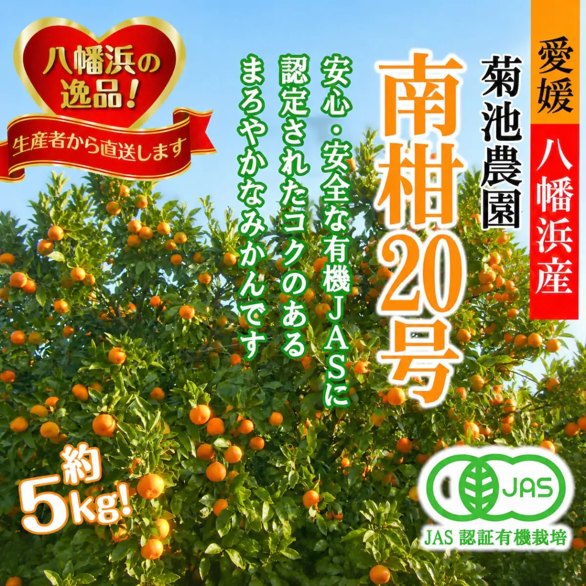 【先行受付】【JAS認証有機栽培】濃厚な味わいの温州みかん!!菊池農園「南柑20号」5kg【C39-23】【1044610】 YWTF011