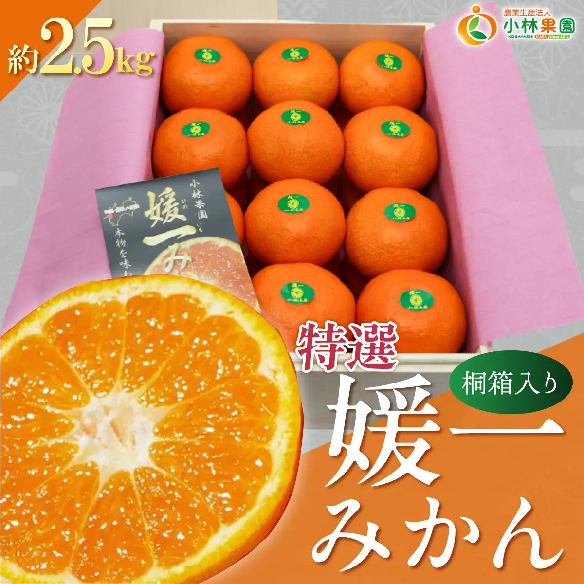 【先行受付】桐箱入り・媛一みかん(2.5kg)【D24-4】【1045056】 YWTAD002
