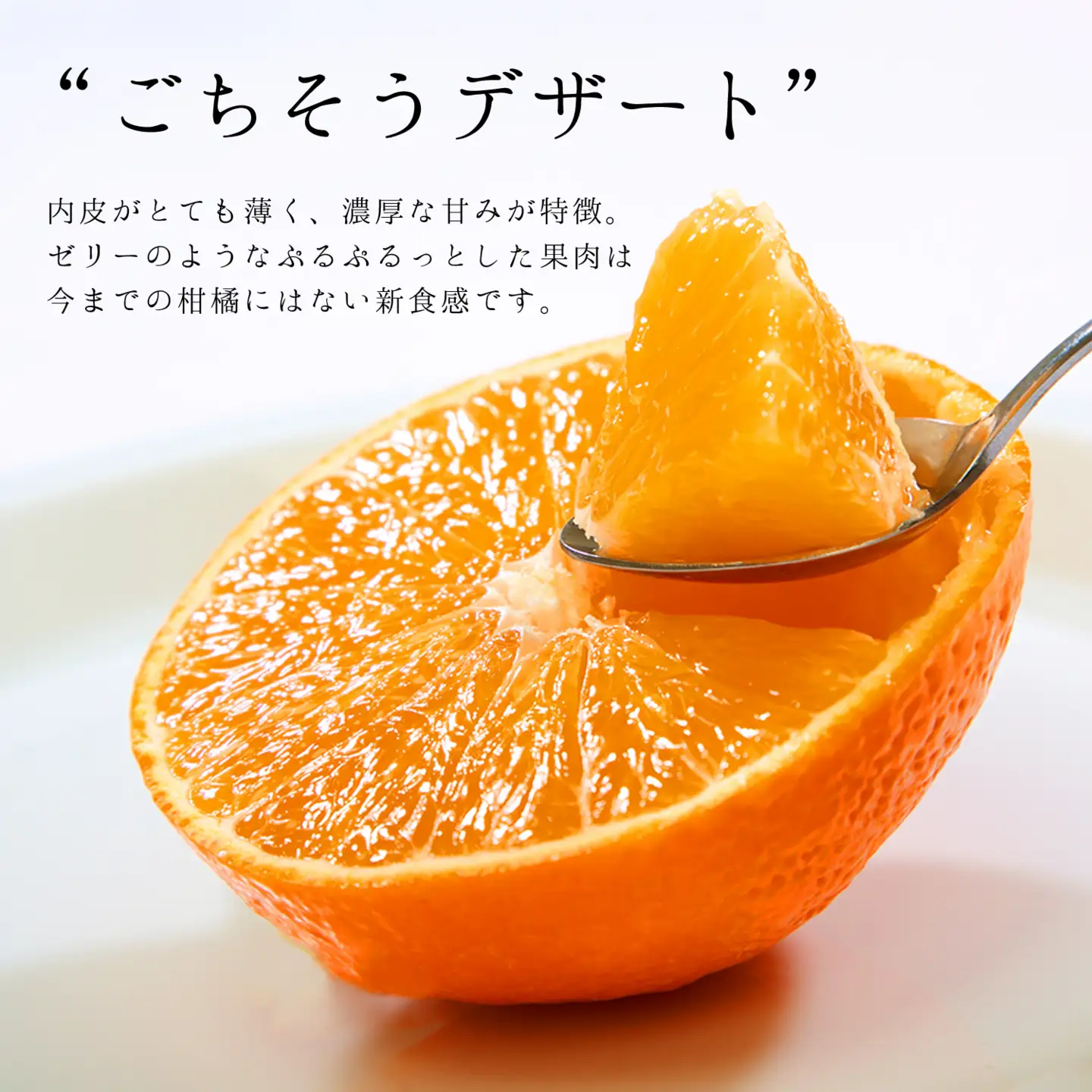 【先行受付】コウ果樹園の「厳選　華まどんな」3kg(4L～L　8～15玉)【E33-8】【1056129】 YWTG004