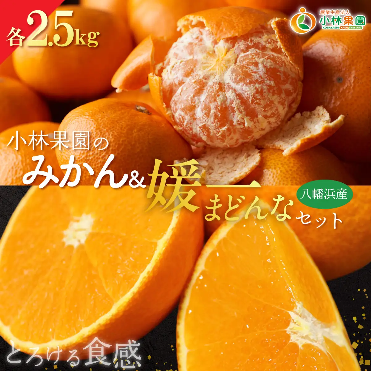 【先行受付】小林果園のみかん＆媛一まどんなセット(各約2.5kg入)【C24-17】【1124423】 YWTAD010