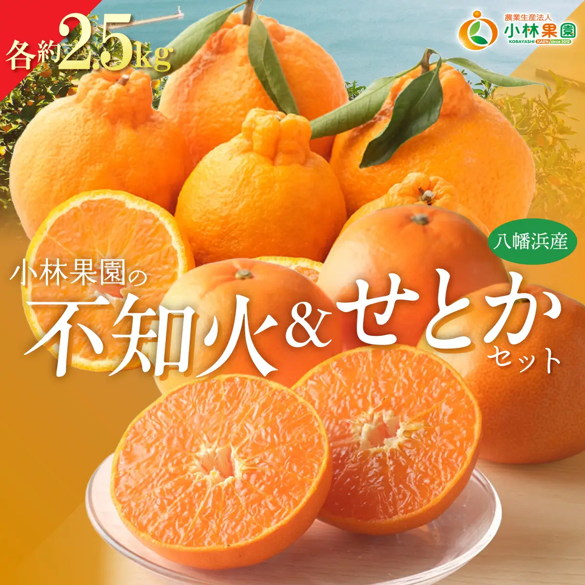 【先行受付】小林果園のせとか＆不知火セット(各約2.5kg入)【C24-21】【1124427】 YWTAD014