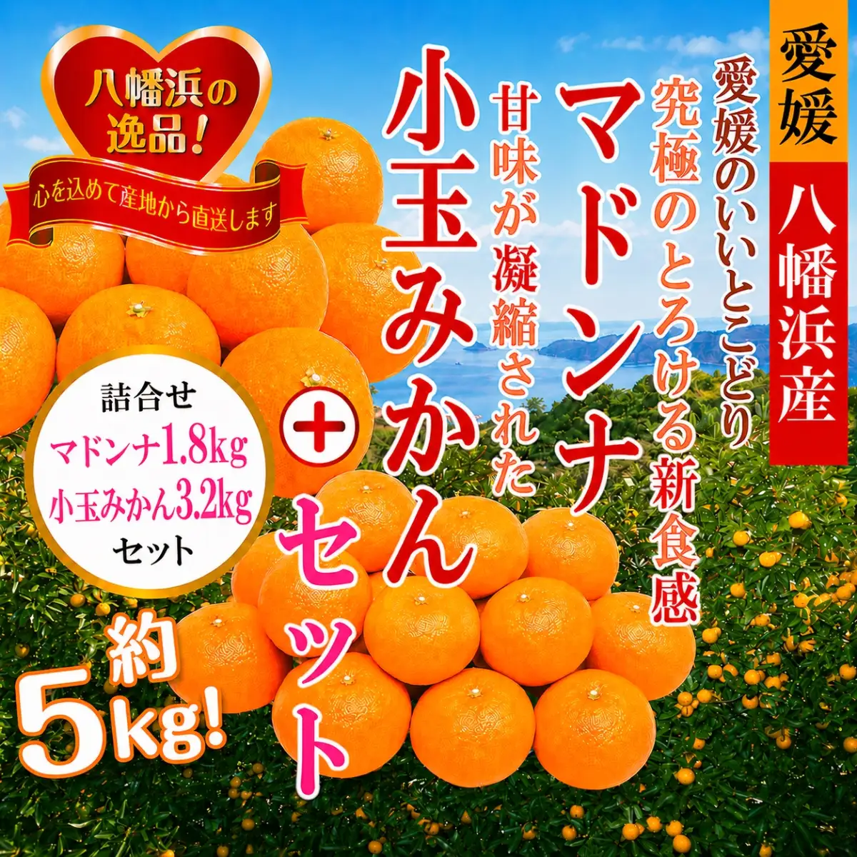 【先行受付】ぷるぷる新食感!「マドンナ」+濃厚!「小玉みかん」約5kg【D39-32】【1252242】 YWTF014