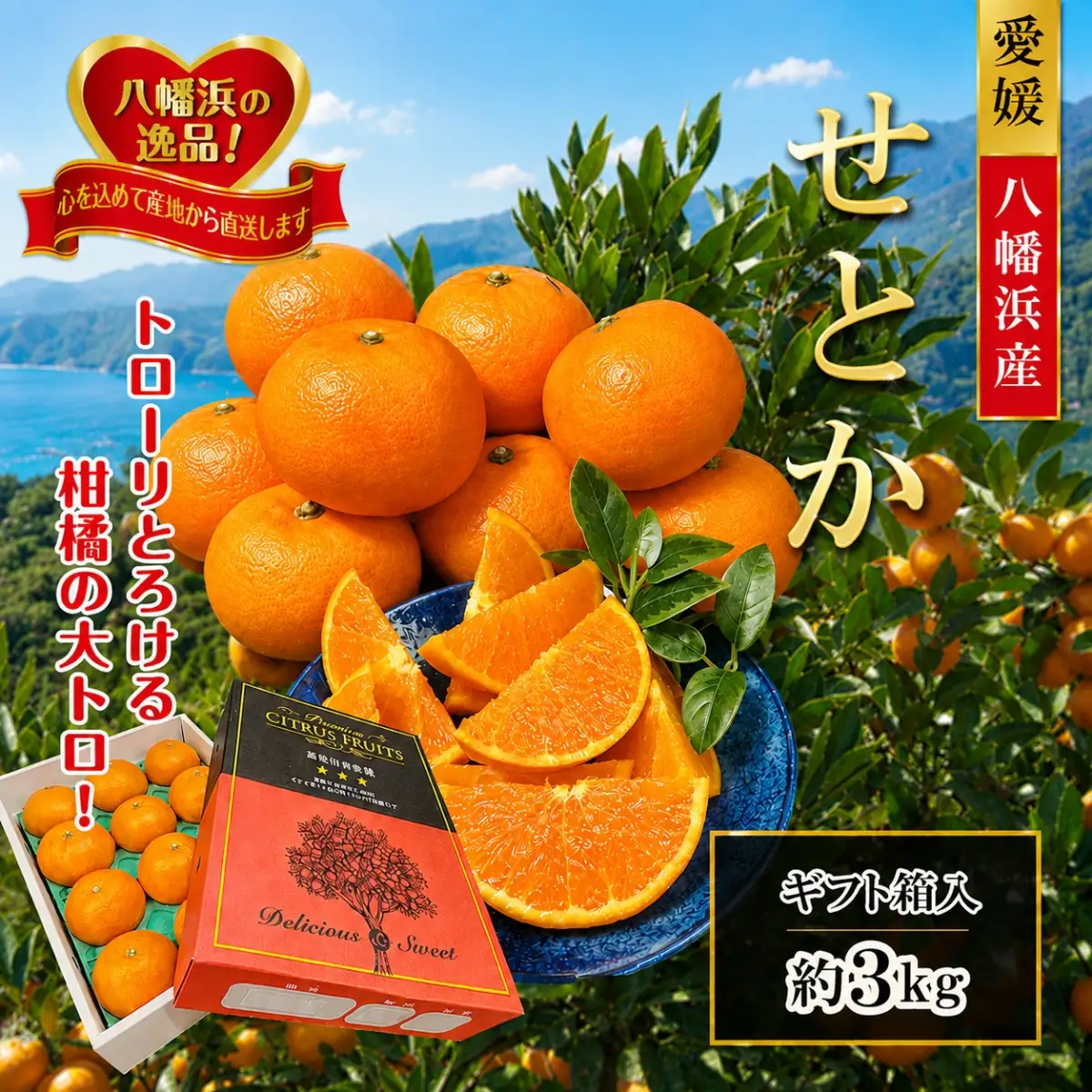 【先行受付】 柑橘の大トロ「せとか」約3kg  【D39-6】【1262187】 YWTF001