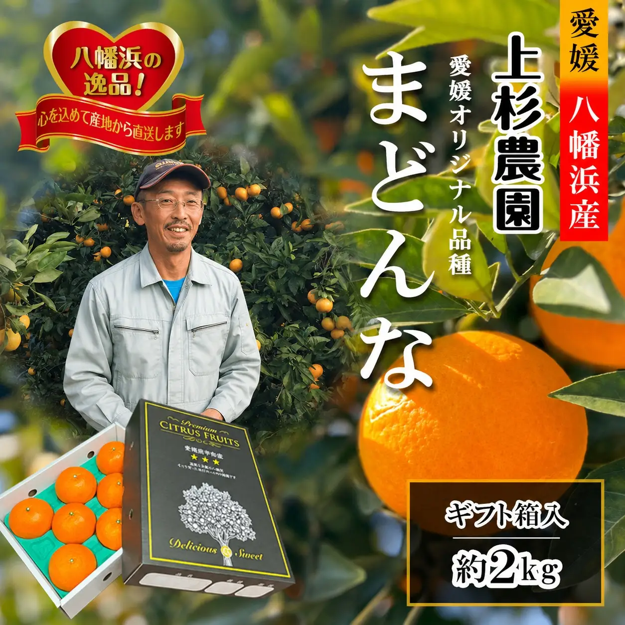 【先行受付】ギフト対応化粧箱入・上杉農園のぷるぷる新食感!「マドンナ」約2kg【C39-50】【1450439】 YWTF025