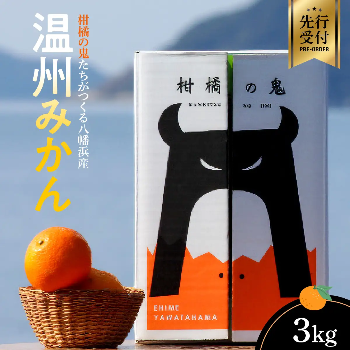 【先行受付】柑橘の鬼たちがつくる八幡浜産・温州みかん3kg【A56-55】【配送不可地域：離島】【1504430】 YWTAS045