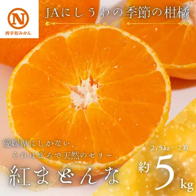 【先行受付】JAにしうわの季節の柑橘(紅まどんな 約2.5kg×2箱)【H08-50】 YWTV021