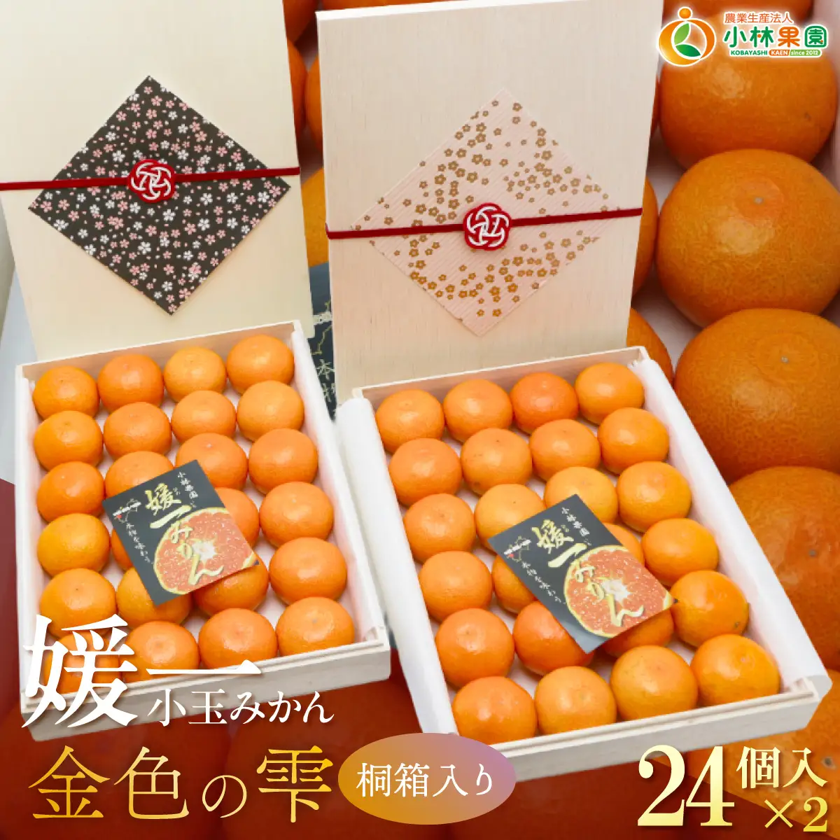【先行受付】桐箱入り 媛一小玉みかん 金色の雫(こんじきのしずく)24個入り箱×二段重ね【D24-6】【1517951】 YWTAD003