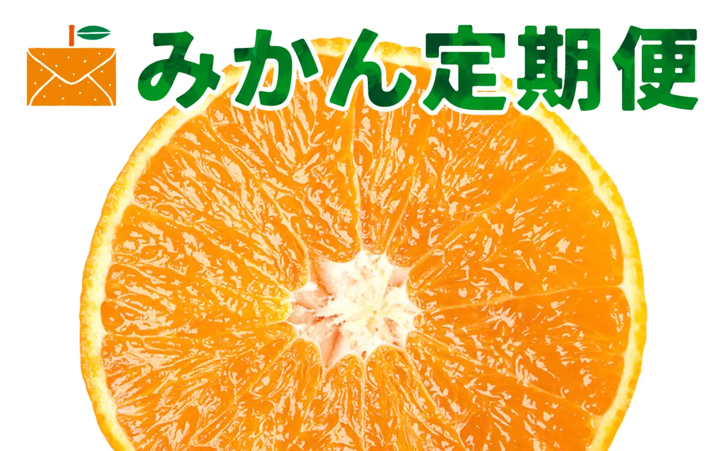 【発送月固定定期便】愛媛県限定柑橘定期便【G33-43】全2回【4053142】 YWTG025