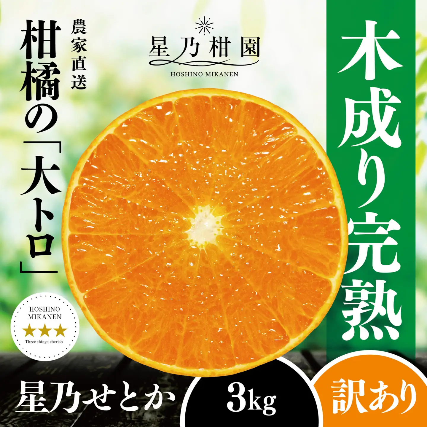 【訳あり】星乃せとか 柑橘の大トロ(3kg)【C45-87】【1535970】 YWTAZ049