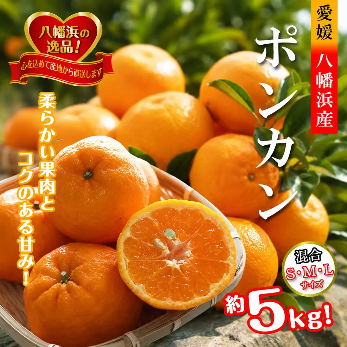 【先行受付】2027年1月出荷開始　爽やかな香り。酸味が少なく甘みの強い「ポンカン」約5kg 【C39-38】 YWTF018