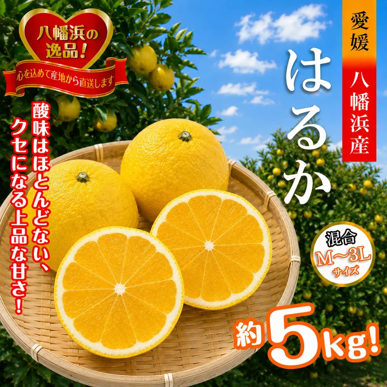 【先行受付】酸味を感じないジューシーな甘さ!「はるか」約5キロ　【C39-7】【配送不可地域：離島】【1280653】 YWTF002