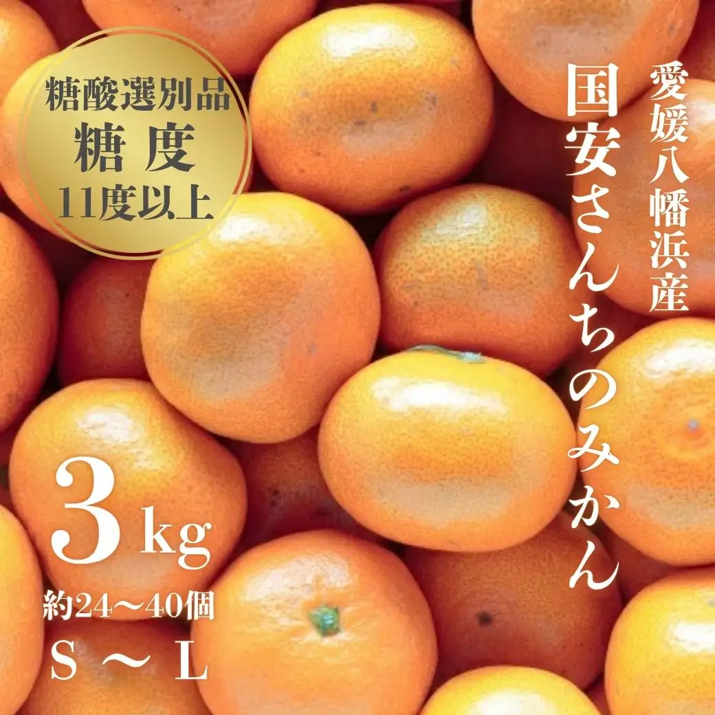 【先行受付】【糖度11度以上 酸1.0以下 糖酸選別品】愛媛みかん 3kg【C20-48】【1594922】 YWTI043