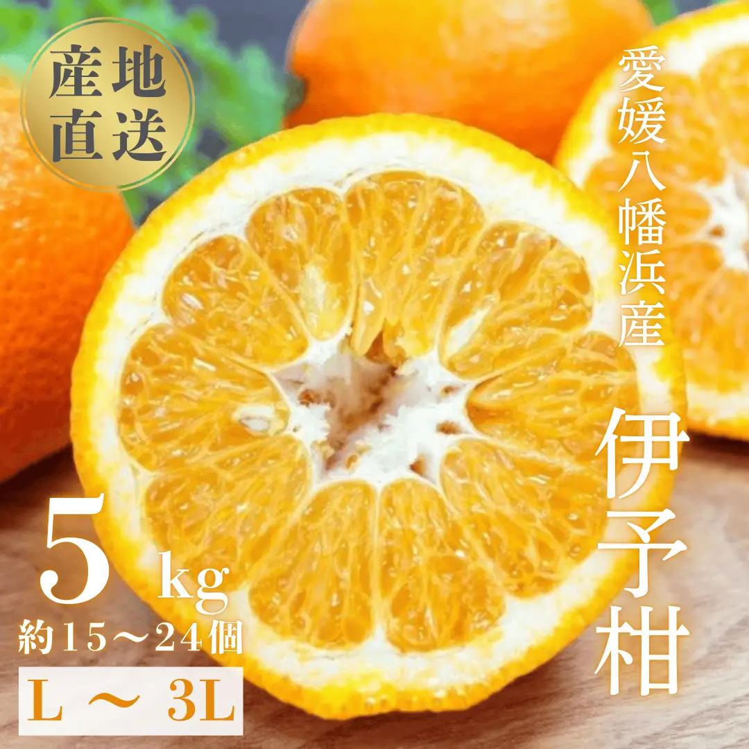 【先行受付】【爽やか香りと柔らかジューシーな果肉】愛媛八幡浜産 宮内伊予柑 5kg【C20-55】【1595885】 YWTI050