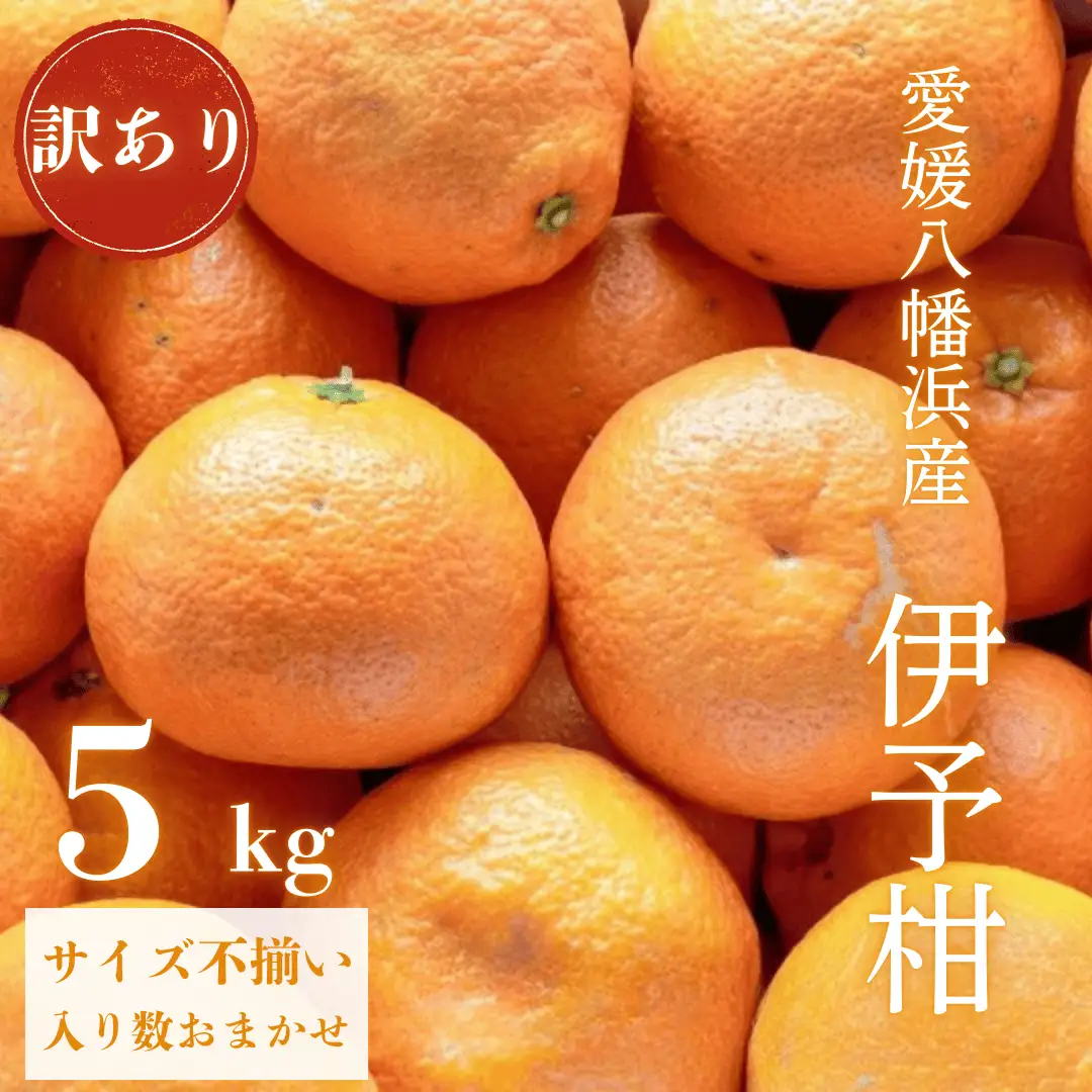 【先行受付】【爽やか香りと柔らかジューシーな果肉】愛媛八幡浜産 訳あり 宮内伊予柑 5kg【C20-56】【1595886】 YWTI051