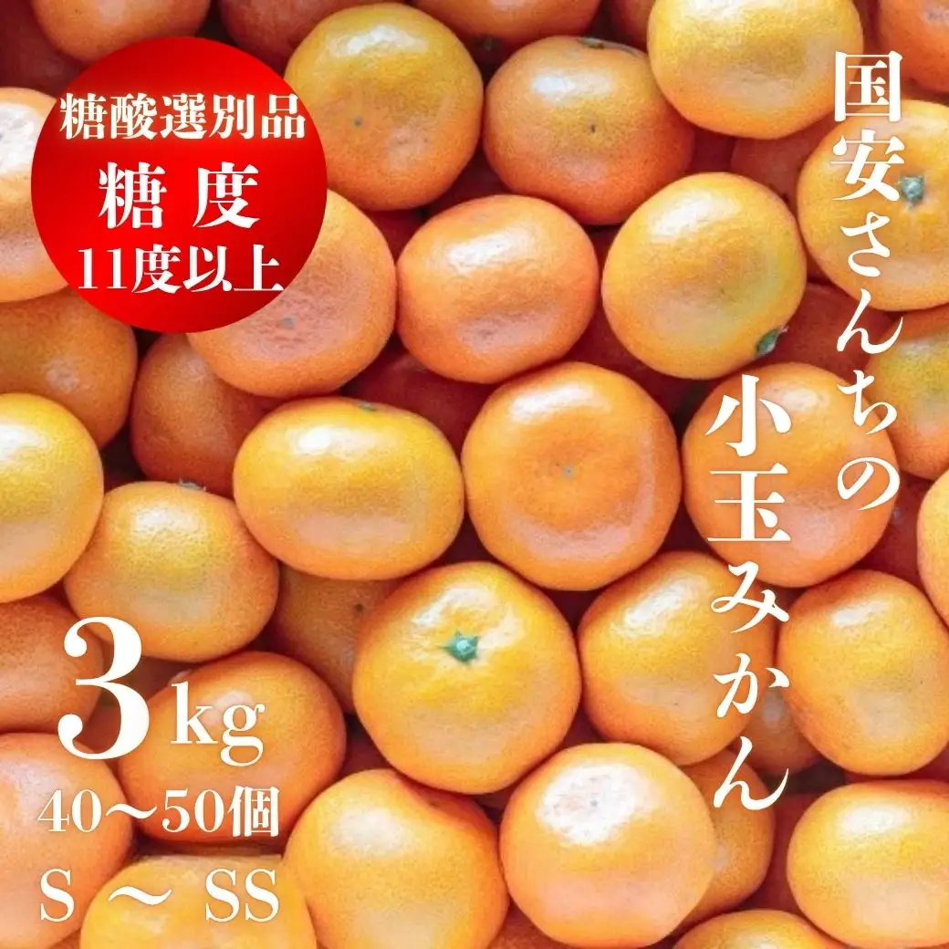 【糖度11度以上 酸1.0以下 糖酸選別品】小玉 愛媛みかん 3kg【C20-57】【1595877】 YWTI052