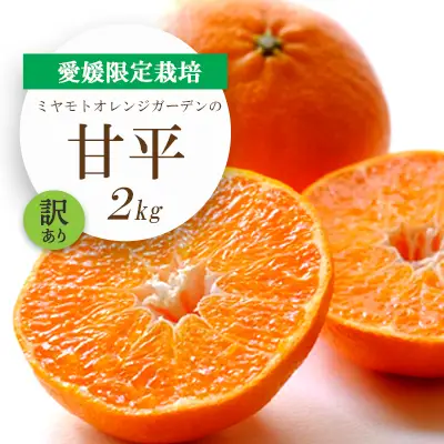 【先行受付】愛媛限定栽培柑橘 甘平(かんぺい)2kg【訳あり】【D25-184】【1608049】 YWTAP125