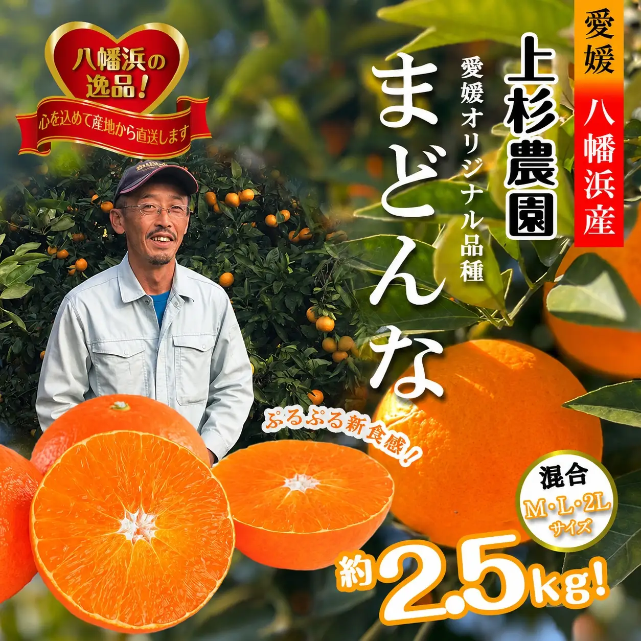 【先行受付】こんな柑橘はじめて!!上杉農園のぷるぷる新食感!!「まどんな」約2.5kg【D39-67】【配送不可地域：離島】【1619931】 YWTF042