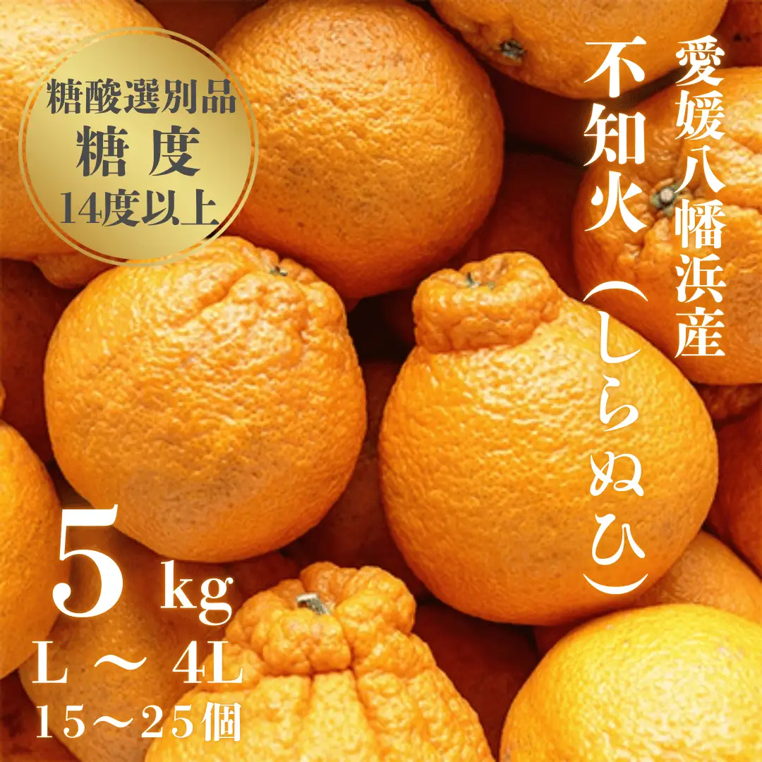 【先行受付】【糖度14.0以上酸1.4以下】糖酸選別品 愛媛産 不知火 (しらぬひ) 5kg【D20-61】【配送不可地域：離島】【1620228】 YWTI056