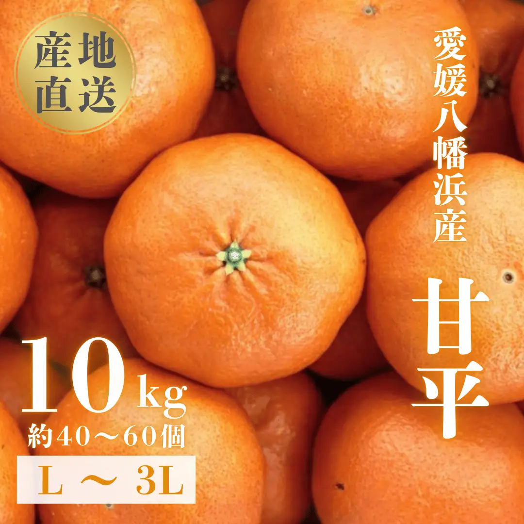 【先行受付】【愛媛が誇る 高級みかん 希少品種】甘平 (かんぺい) 10kg【H20-67】【1620337】 YWTI062