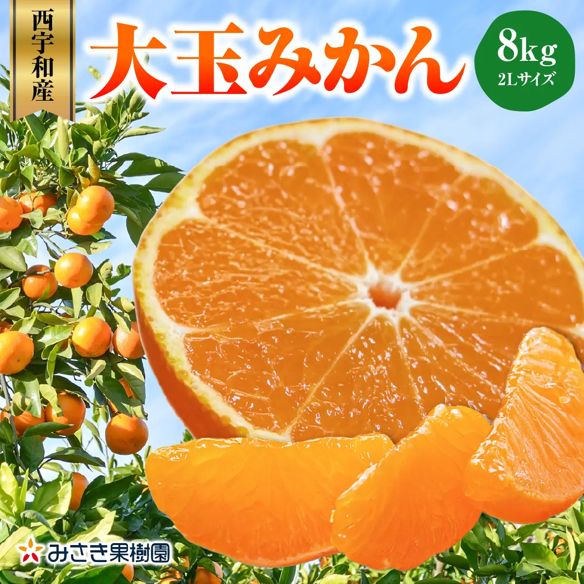 【先行受付】西宇和産大玉みかん2Lサイズ8kg【C21-40】YWTBC021