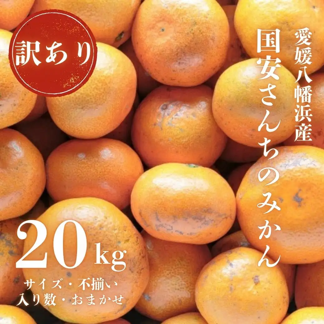 【先行受付】【創業85年 親子4代 愛媛みかん 一筋】訳あり 愛媛みかん 20kg【H20-82】【1623264】 YWTI077